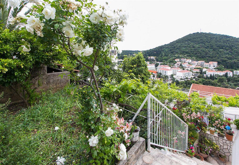 Apartments Zore Glavinic Dubrovnik Extérieur photo